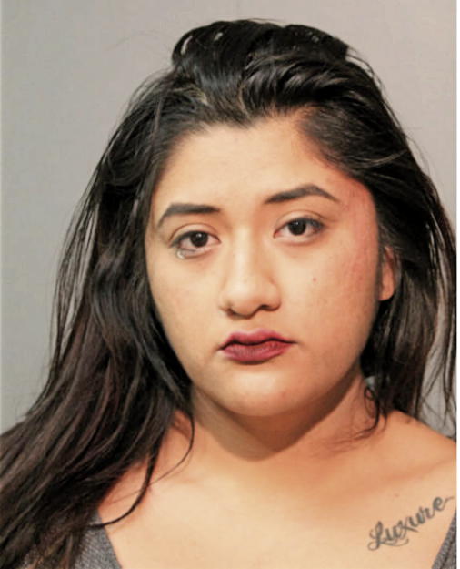 VANESSA R LANDA, Cook County, Illinois