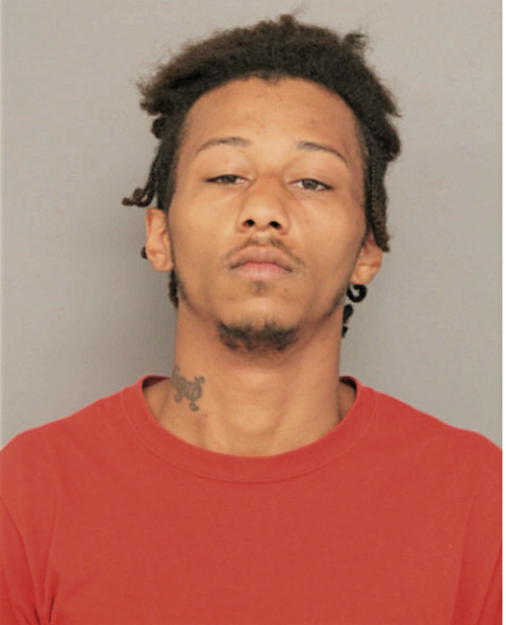 JESSE M LEE, Cook County, Illinois