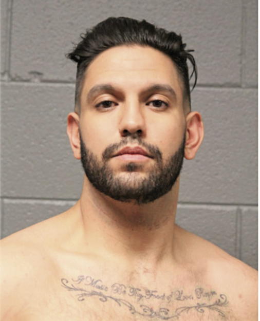 ANTHONY M LOTESTO, Cook County, Illinois