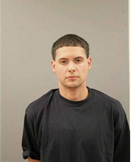 FREDDISBERTO T MARTINEZ, Cook County, Illinois