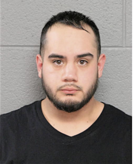 LUIS F MEDINA, Cook County, Illinois