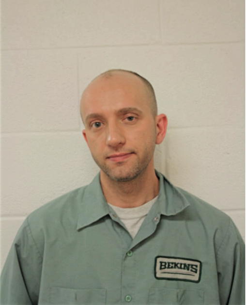 VASILE I NEDELCU, Cook County, Illinois