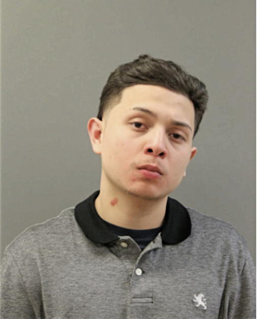 LARRY F PENA, Cook County, Illinois