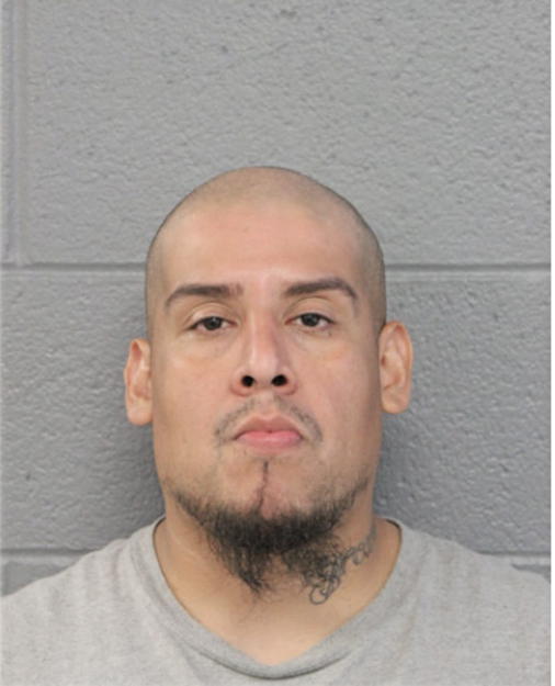 JOSE D PUENTES, Cook County, Illinois
