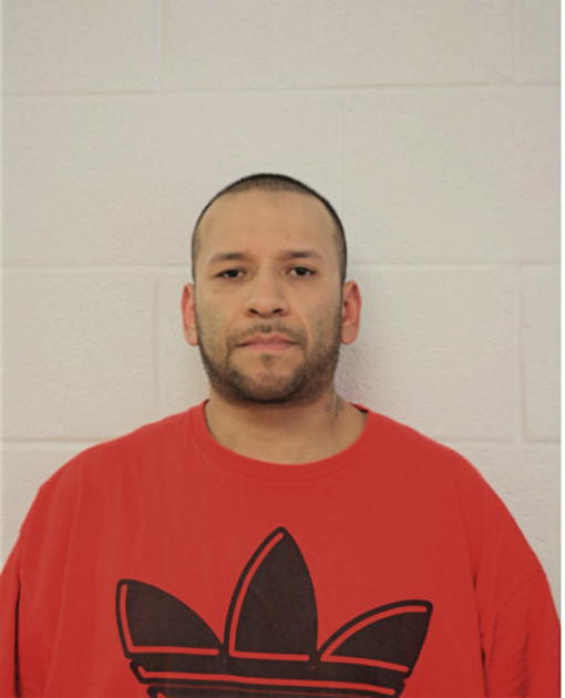 GREGORY J RAMIREZ, Cook County, Illinois