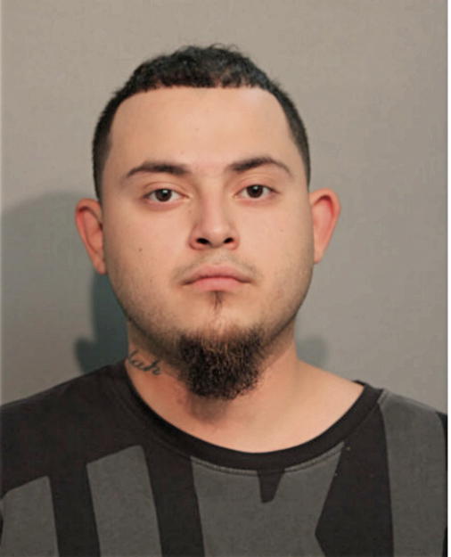 ENRIQUE P SANCHEZ, Cook County, Illinois