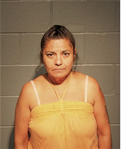 EVALINA DEL VALLE, Cook County, Illinois