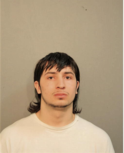 JAMES D YOUNG, Cook County, Illinois