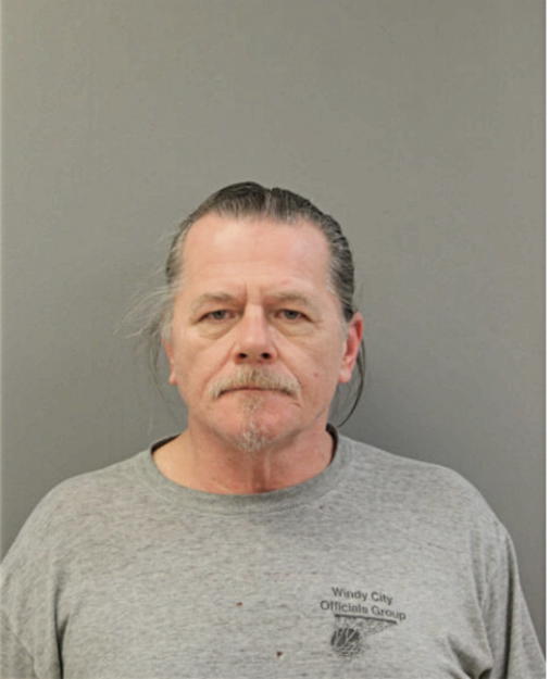 MATTHEW L BORG, Cook County, Illinois