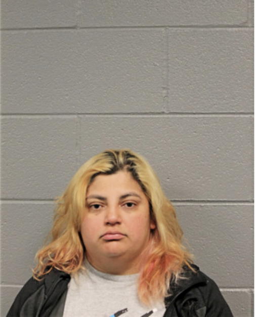 REYNA I BRITO-YANEZ, Cook County, Illinois