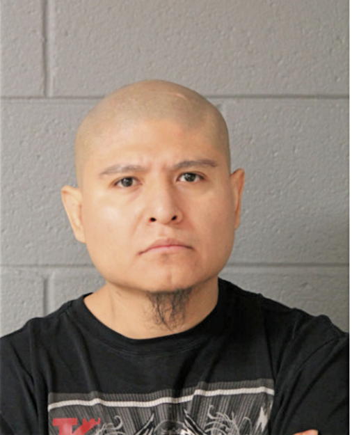 DAVID DEL CARMEN QUIROZ, Cook County, Illinois