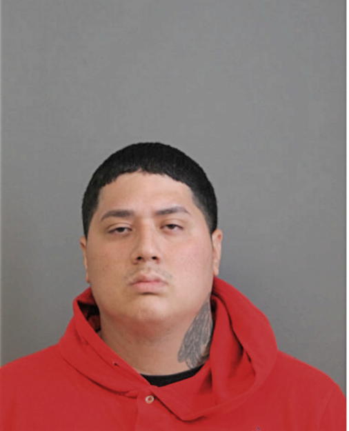 JOSE Z CASTILLO, Cook County, Illinois