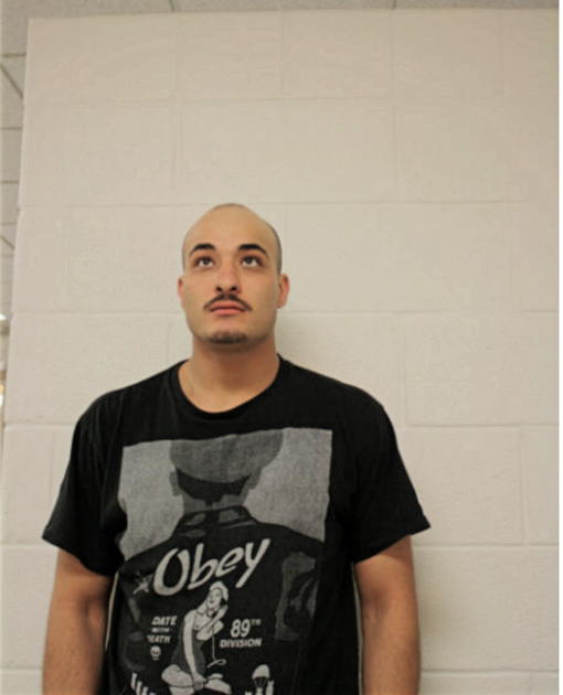 TAMER DAHBOUR, Cook County, Illinois