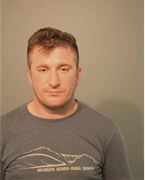 MICIC DRAGAN, Cook County, Illinois