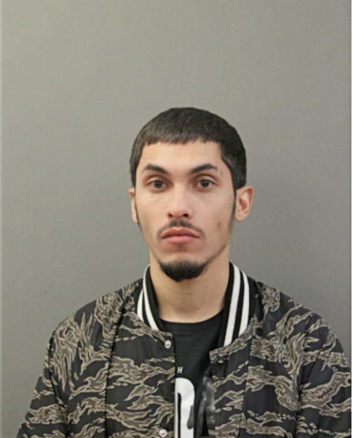 JOSE A GONZALEZ, Cook County, Illinois