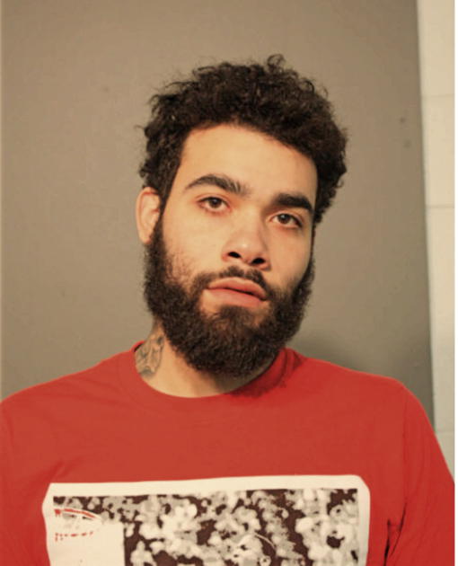 MICHAEL A GOUGIS, Cook County, Illinois
