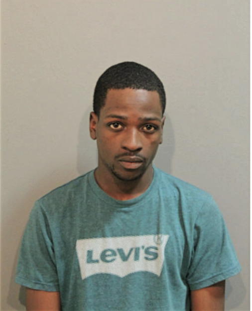 LAMONT M GRAY-COLEMAN, Cook County, Illinois