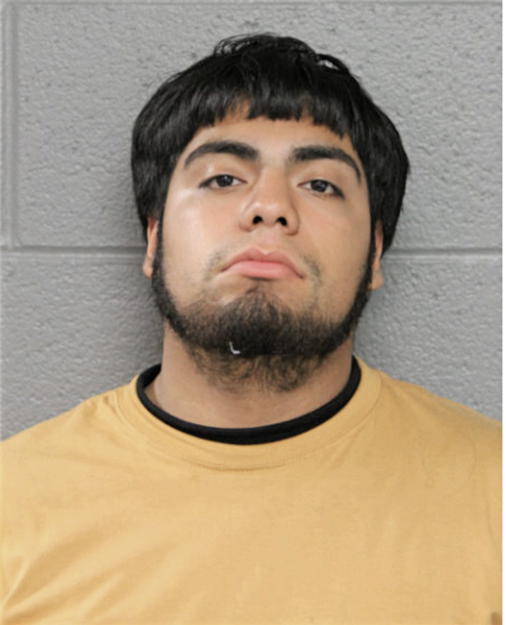 DANIEL J HERNANDEZ, Cook County, Illinois