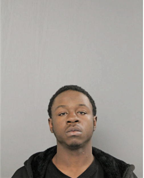 IVELL O HUDSON, Cook County, Illinois