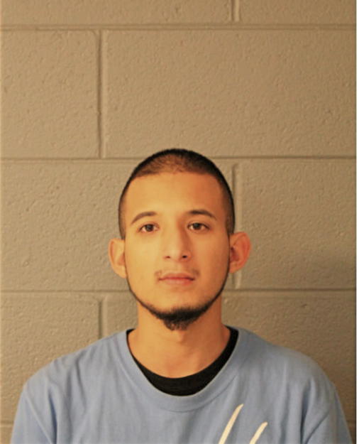 JUAN M INFANTE, Cook County, Illinois