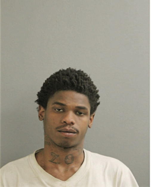 LORENZO G JOHNSON, Cook County, Illinois