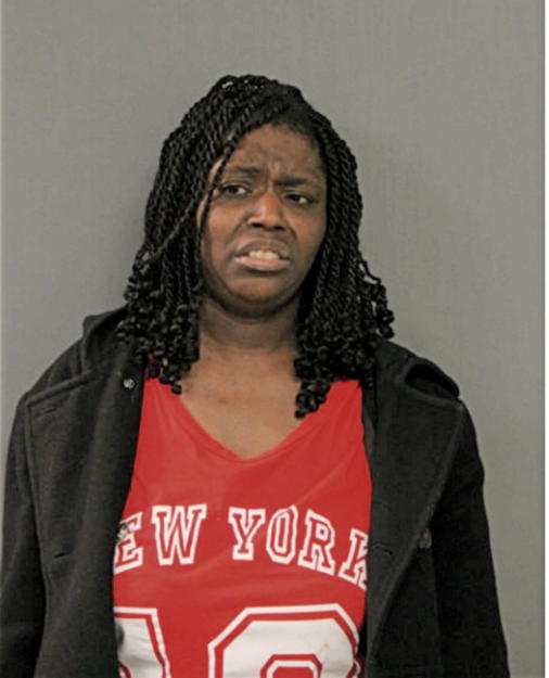 TAMEKA N MCKINNIS, Cook County, Illinois