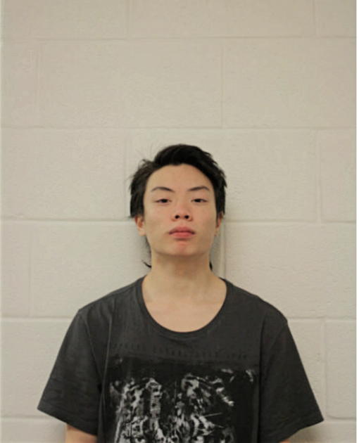 KEITH T NGUYEN, Cook County, Illinois