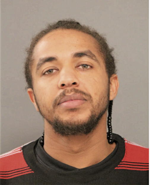 ERIC T NORMAND, Cook County, Illinois