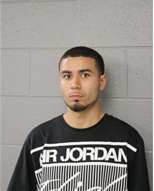 DANIEL OCHOA, Cook County, Illinois