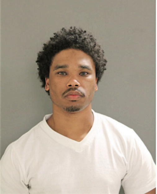 BRANDON W POWELL, Cook County, Illinois