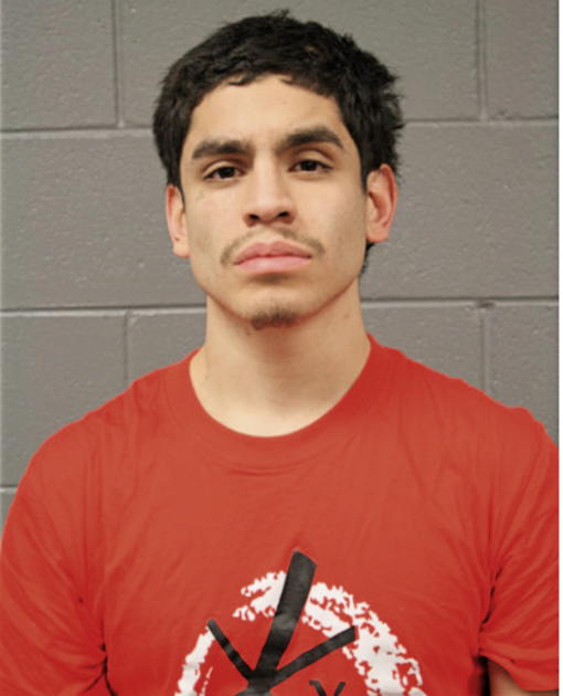 ANASTASIO A TIJERINA, Cook County, Illinois
