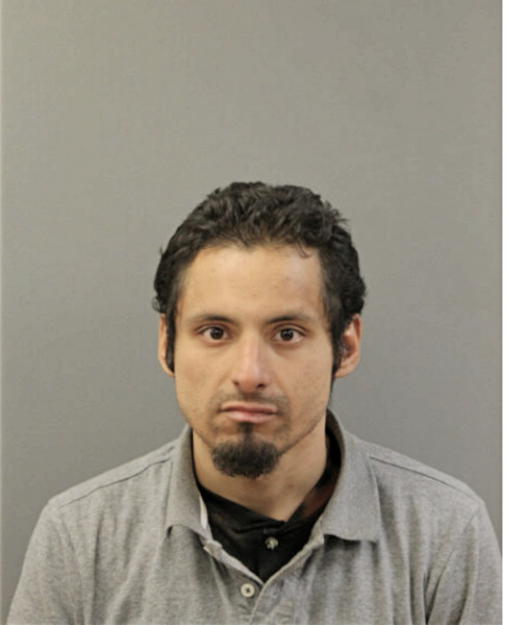 FRANCISCO J VEGA, Cook County, Illinois