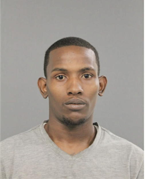 RONALD L YOUNG, Cook County, Illinois