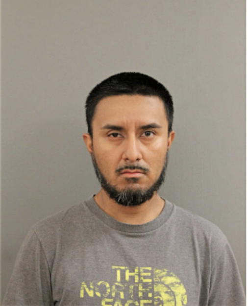 ANDRES ADAME, Cook County, Illinois