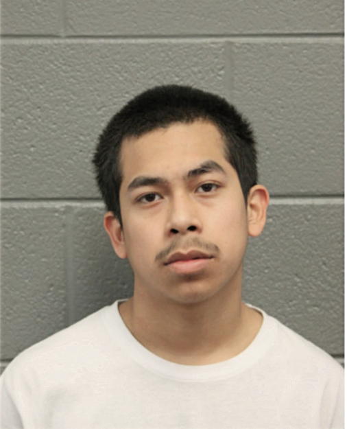 RAFAEL ALCANTARA, Cook County, Illinois