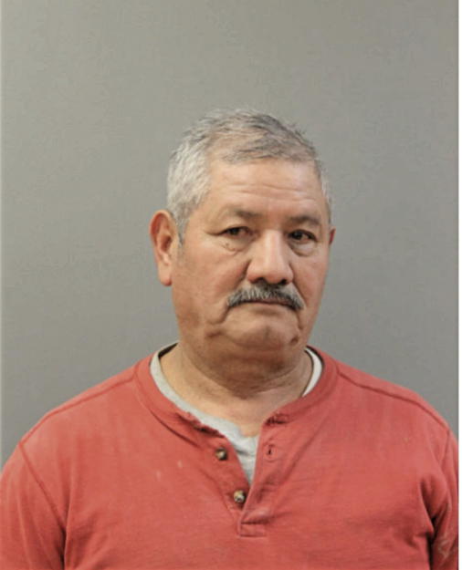 RAMIRO FLORES ARROYO, Cook County, Illinois