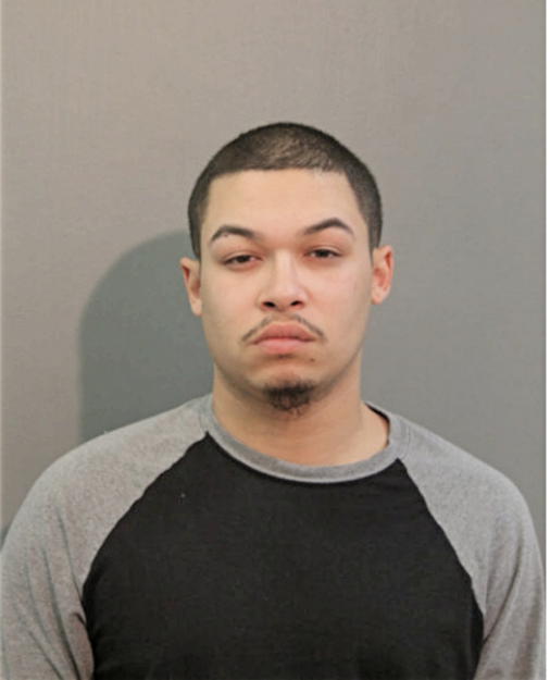 NELSON OSWALDO AVILES, Cook County, Illinois