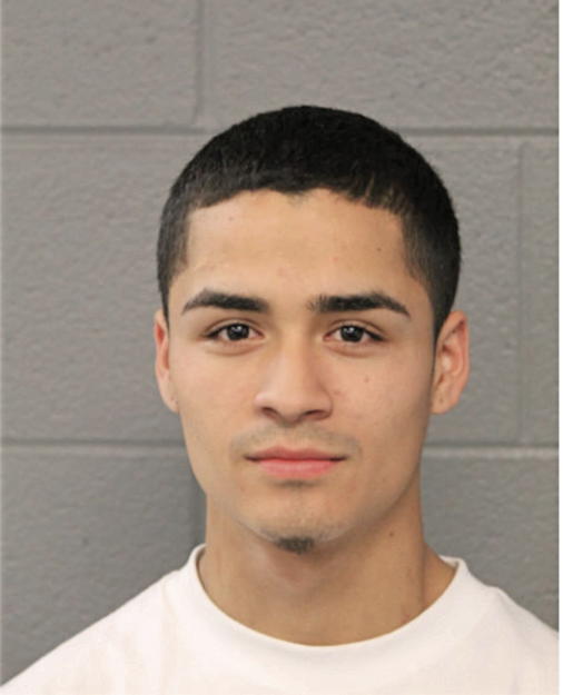 DAVID A COLON, Cook County, Illinois