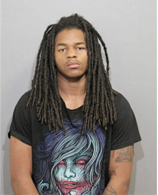 CHRISTOPHER D DAVIS, Cook County, Illinois