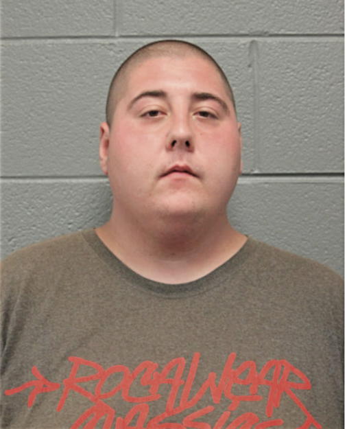 STEVEN A DOYLE, Cook County, Illinois