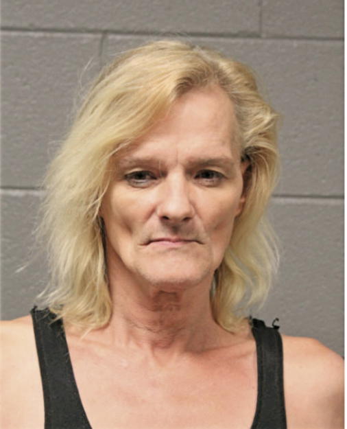 DAYLE P FLYNN, Cook County, Illinois