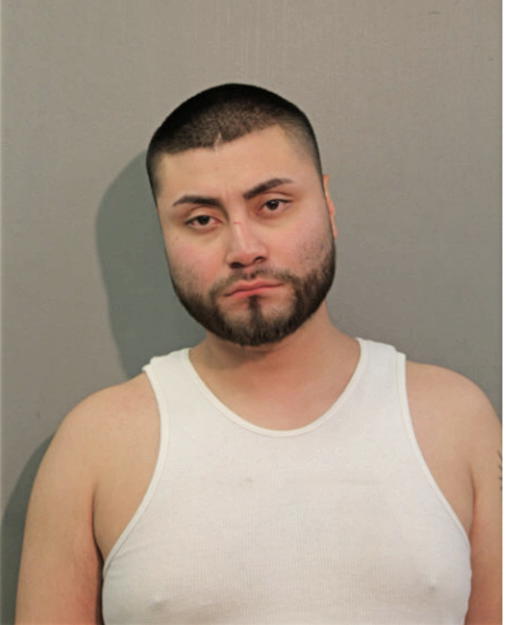 DANNY E GARCIA, Cook County, Illinois