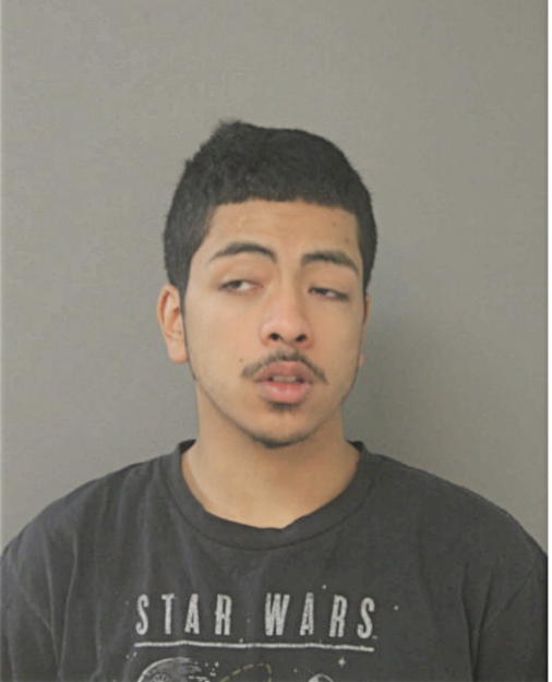 NICHOLAS A GARCIA, Cook County, Illinois