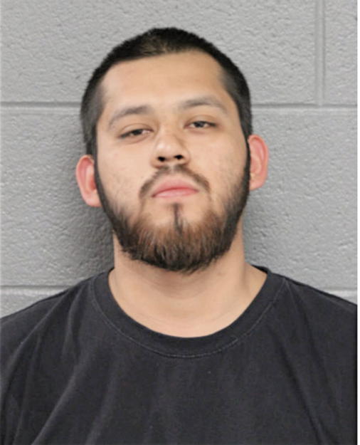 ALEJANDRO GUZMAN, Cook County, Illinois