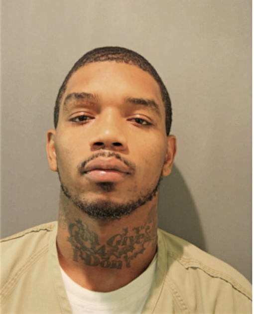 MARK A HALL, Cook County, Illinois