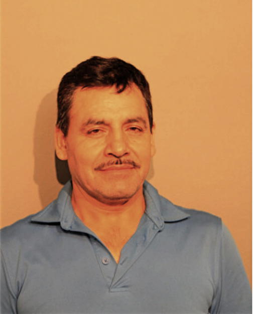 JOSE L HERNANDEZ, Cook County, Illinois
