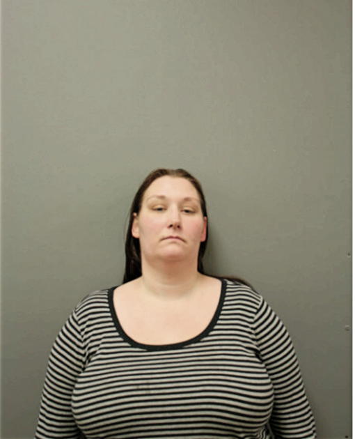 CHANI L HOLLISTER, Cook County, Illinois