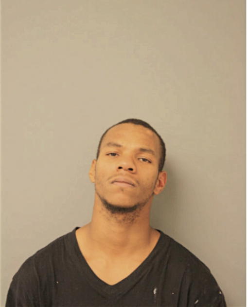 ASHLEY J JAMISON, Cook County, Illinois