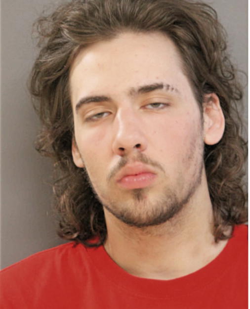 IAN J JOHNSON, Cook County, Illinois