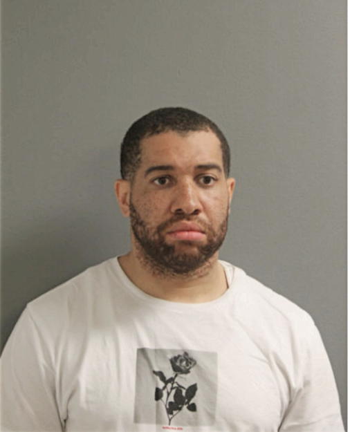 MICHAEL LEWIS, Cook County, Illinois